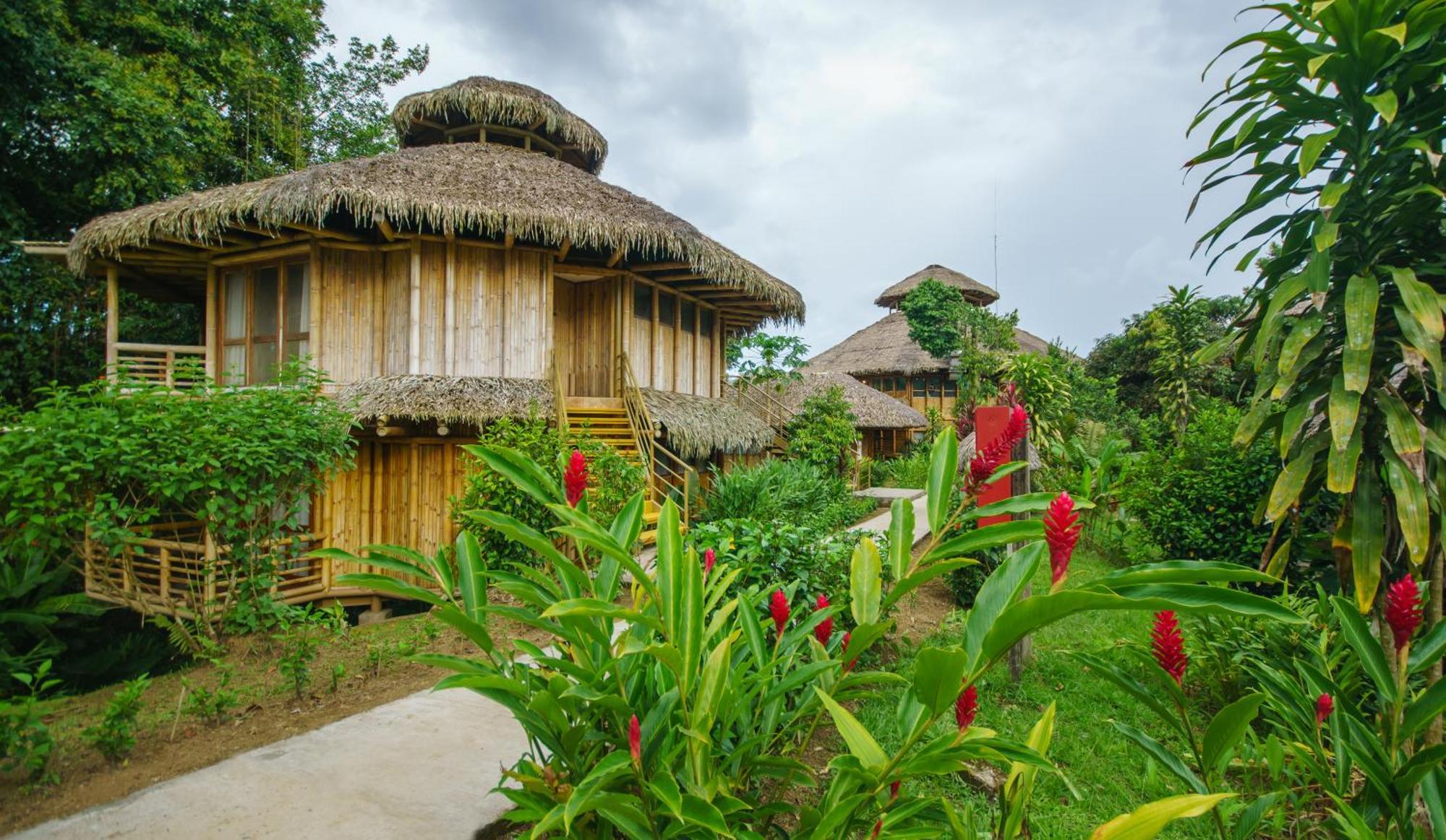 La Selva Eco-Lodge & Retreat Провиденсия Экстерьер фото