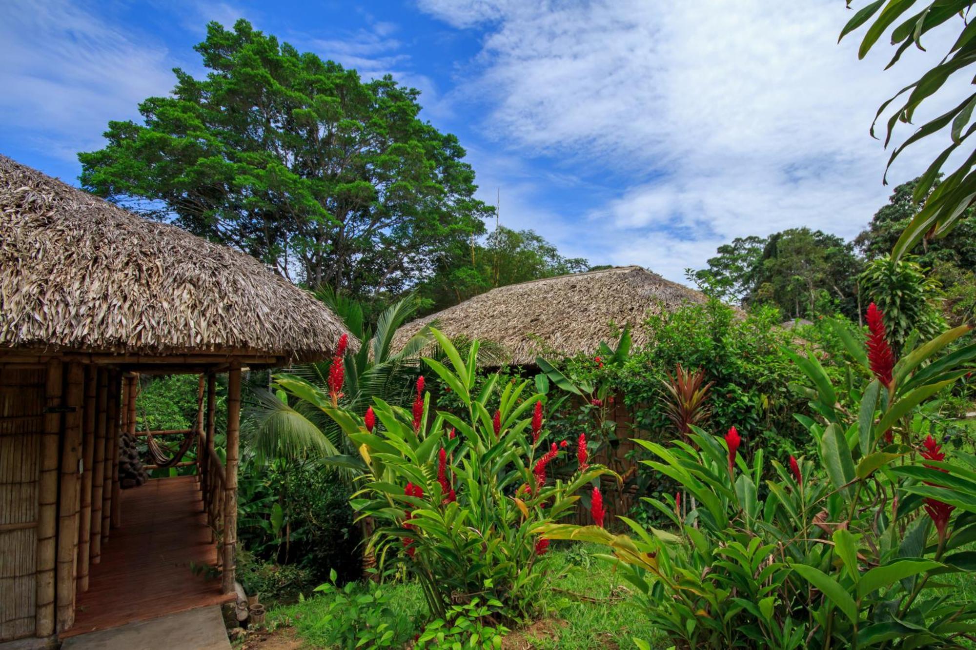 La Selva Eco-Lodge & Retreat Провиденсия Экстерьер фото