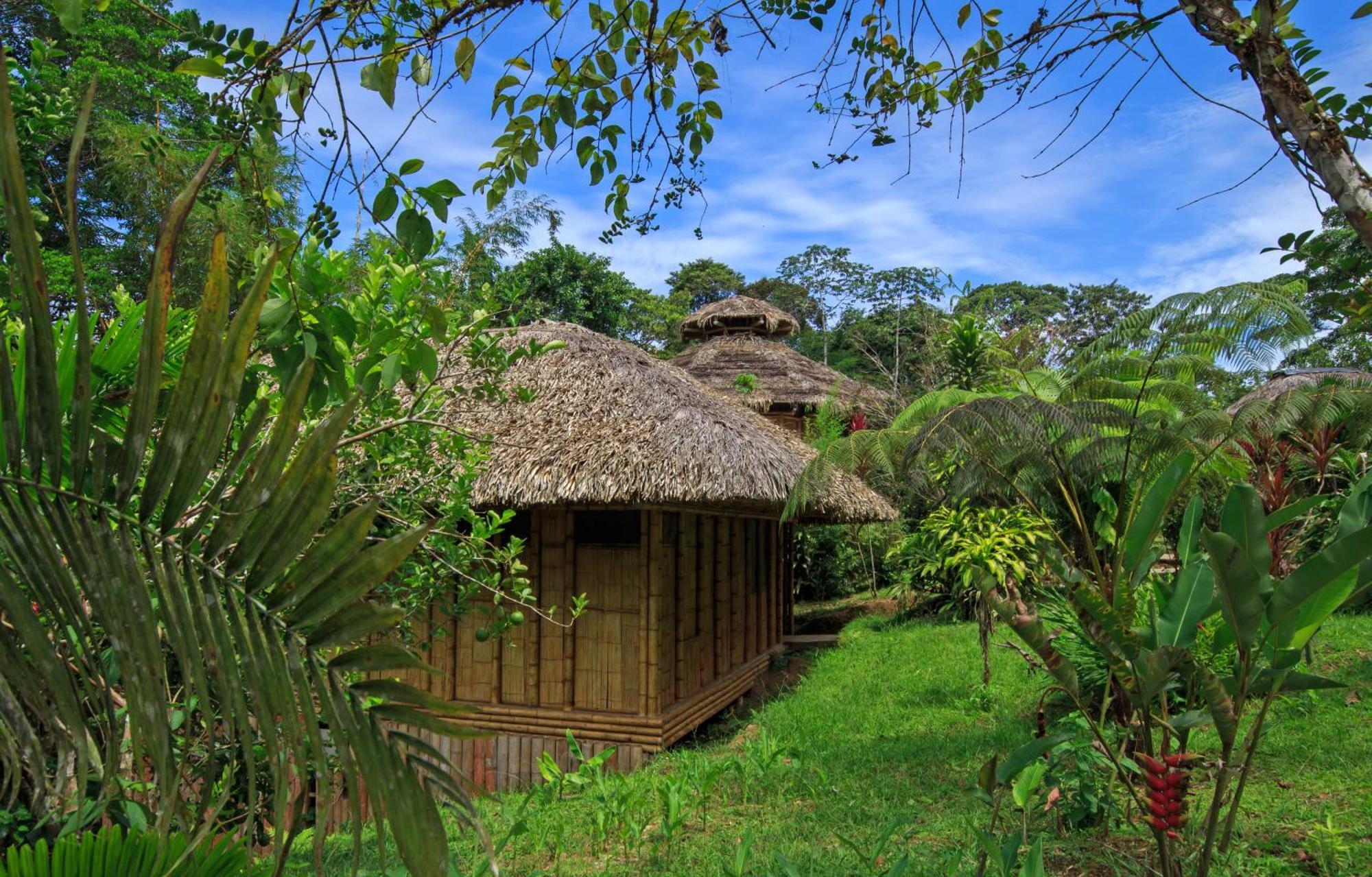 La Selva Eco-Lodge & Retreat Провиденсия Экстерьер фото
