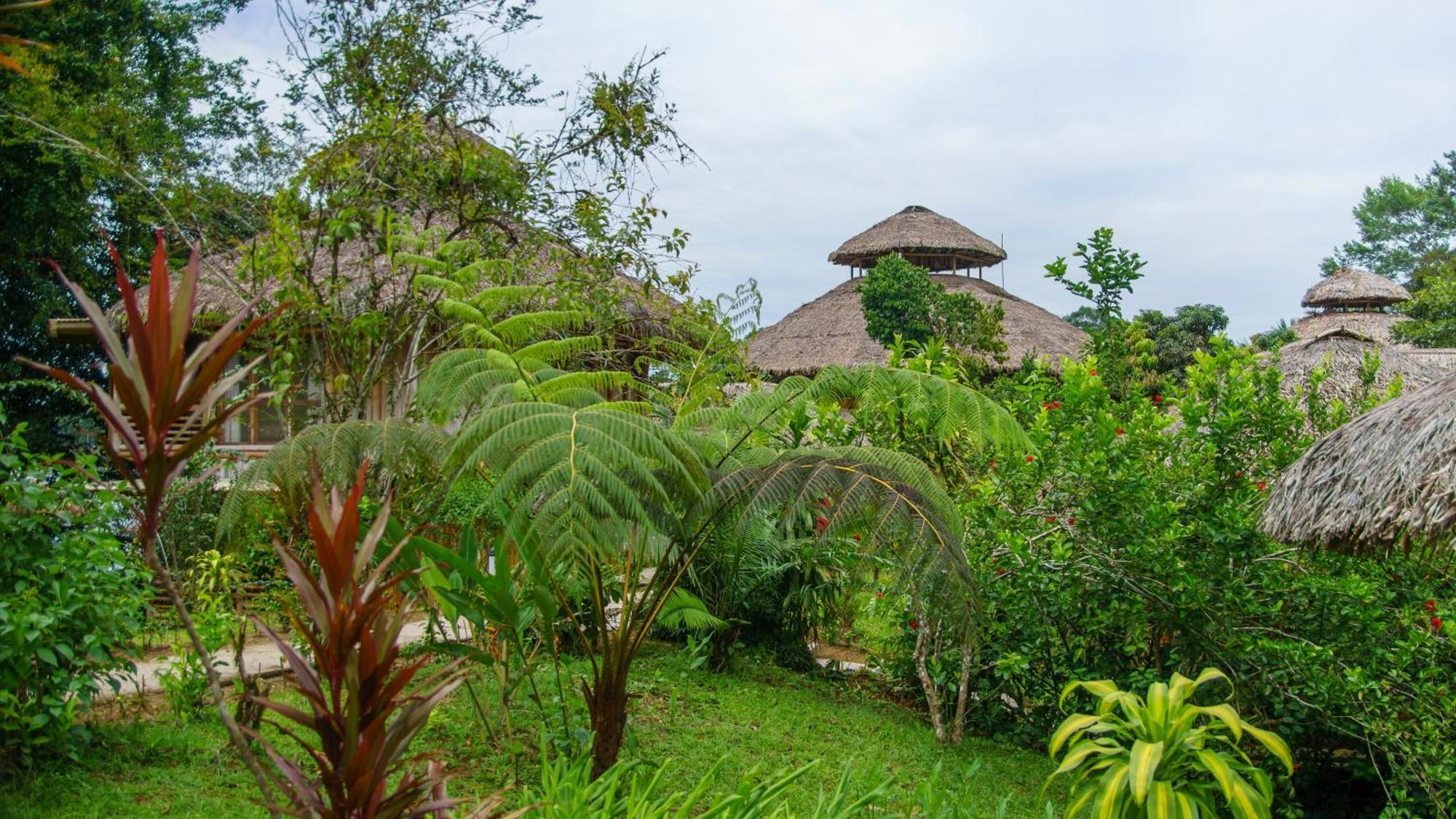 La Selva Eco-Lodge & Retreat Провиденсия Экстерьер фото