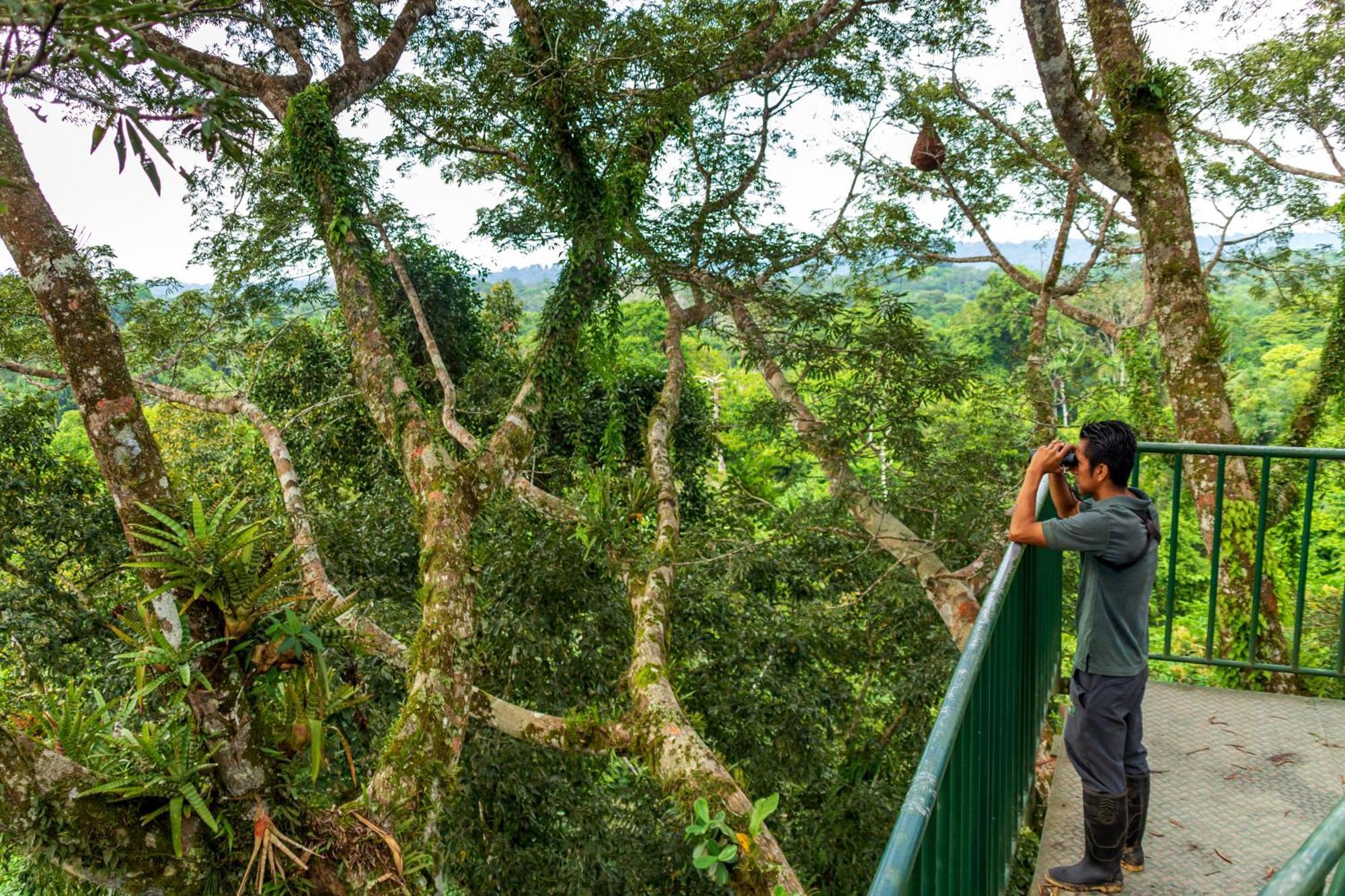 La Selva Eco-Lodge & Retreat Провиденсия Экстерьер фото